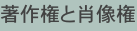 shapeimage_11_link_0